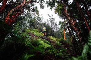 BIB: 
                            <button type="button" onclick="openModal(26205521)" class="btn btn-primary btn-sm float-right btn-popup" data-toggle="modal" data-target=".modal-high-quality">
                        <i class="fas fa-shopping-cart"></i> Add to Cart
                    </button>
                                            <button type="button" onclick="isThisMe(26205521, true)" class="btn btn-success btn-sm float-right btn-popup btn-isme hidden" data-toggle="tooltip" data-placement="bottom" title="นี่คือรูปของคุณใช่ไหม คลิกที่นี่เพื่อเอาเข้าอัลบั้ม">
                        <i class="fas fa-plus"></i> Add to album
                    </button>
                    <button type="button" onclick="isThisMe(26205521, false)" class="btn btn-warning btn-sm float-right btn-popup btn-isnotme hidden">
                        <i class="fas fa-ban"></i> Remove from album
                    </button>